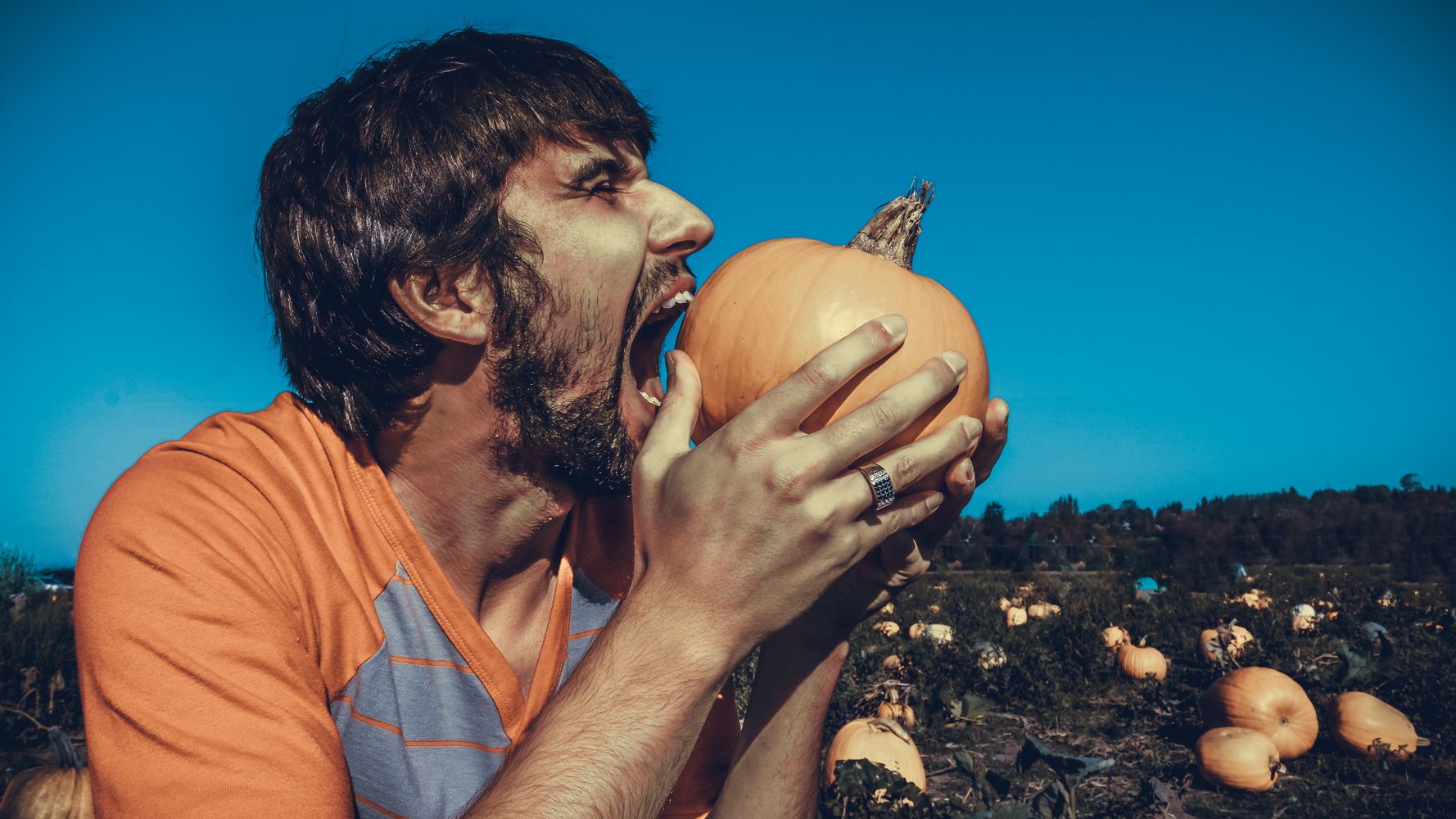 Man Feasting On Pumpkin With Blue Sky Background