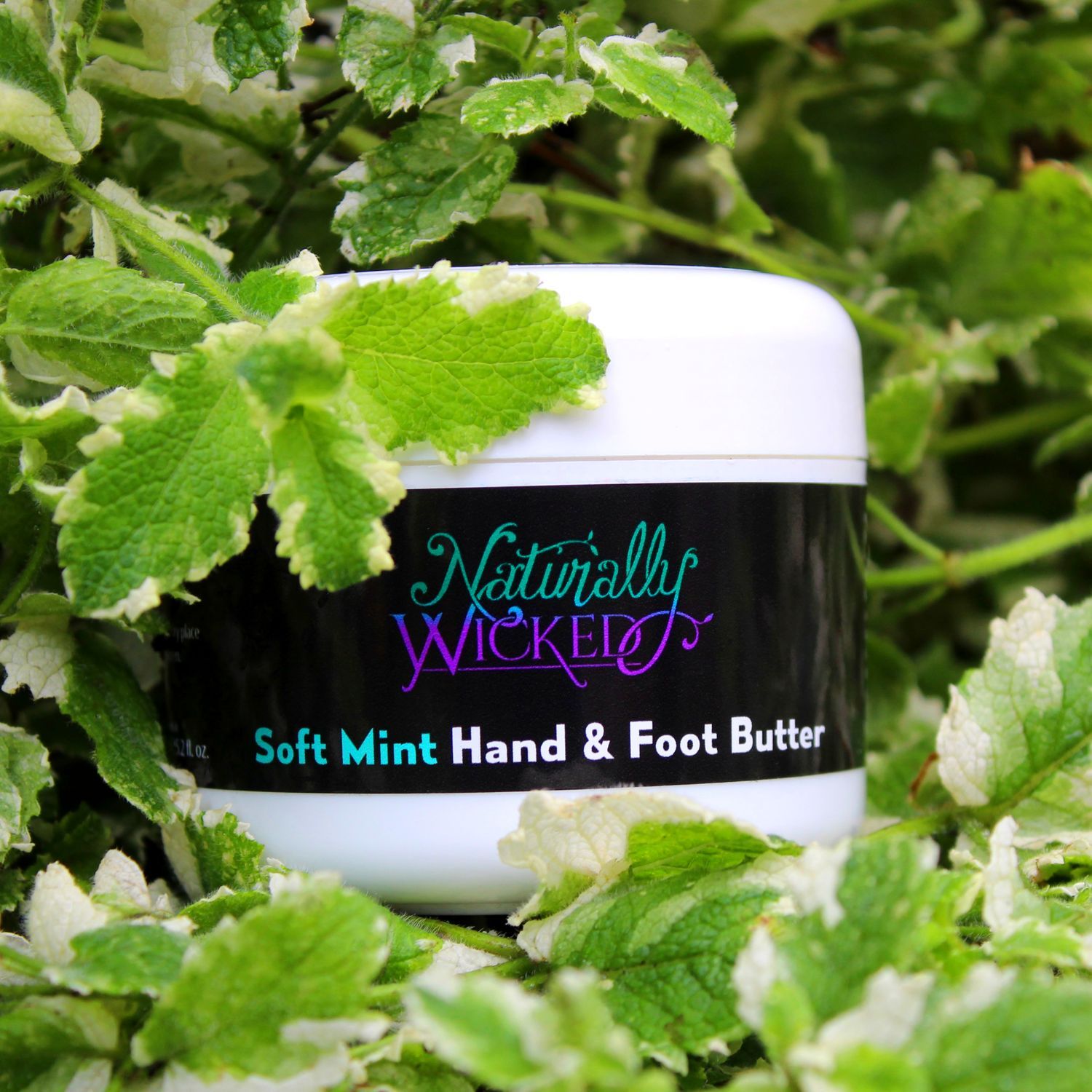 Naturally Wicked Soft Mint Hand & Foot Butter Surrounded By Bright Green Variegated Mint Leaves